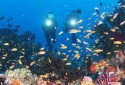 scuba-diving-
